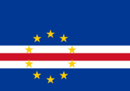 Ricardina Andrade Pessoas e Organizações